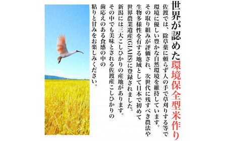 佐渡産コシヒカリ 2kg