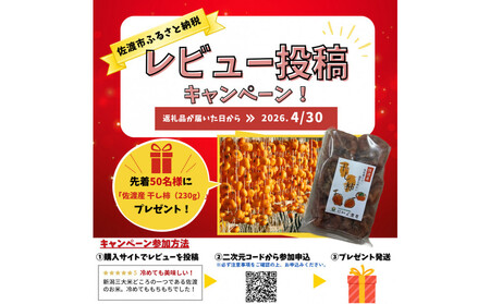 【レビューキャンペーン実施中！】令和7年産 佐渡 川上農産のこしいぶき（2kg）