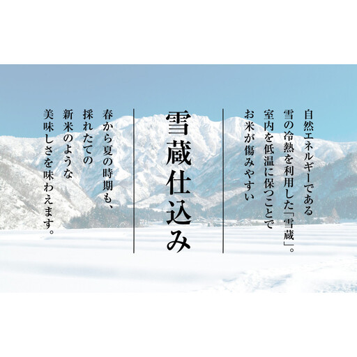 【令和7年産　頒布会】雪温精法　佐渡産こしひかり10kg×6回