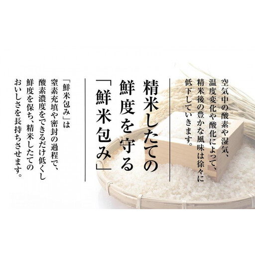 【令和7年産　頒布会】雪温精法　佐渡産こしひかり10kg×6回
