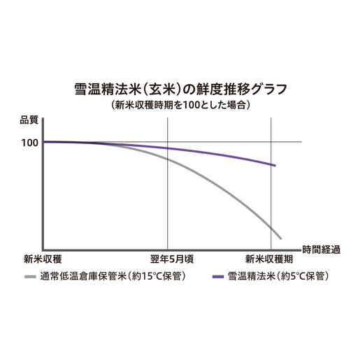 【令和7年産　頒布会】雪温精法　佐渡産こしひかり10kg×6回