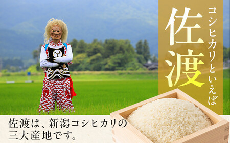 世界農業遺産の島・佐渡で育った無洗米コシヒカリ 真空パック 900g×6袋セット