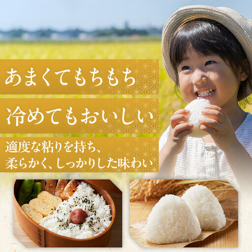 佐渡島産 減農薬特別栽培米こしひかり 真空パック 900g×6袋セット