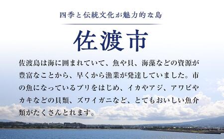 佐渡産 一夜干しいか1袋2枚×２ | 新潟県佐渡市 | ふるさと納税サイト