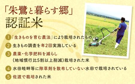 米 朱鷺と暮らす郷 佐渡産 コシヒカリ 5kg 令和6年産 【 米 米 米 米 米 】