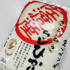 自社栽培米佐渡産こしひかり（精米10kg）6カ月定期便