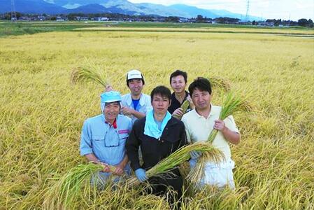 自社栽培米佐渡産こしひかり（精米10kg）6カ月定期便