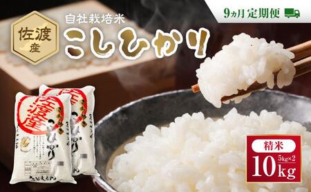 自社栽培米佐渡産こしひかり（精米10kg）9カ月定期便 | 新潟県佐渡市