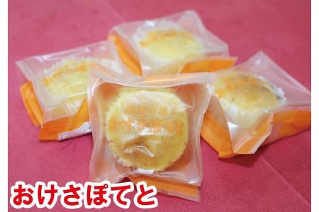 佐渡金銀山セットC