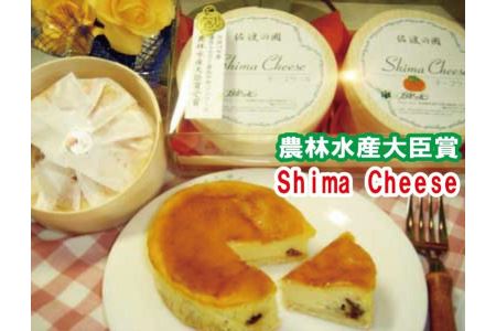 佐渡金銀山セットC