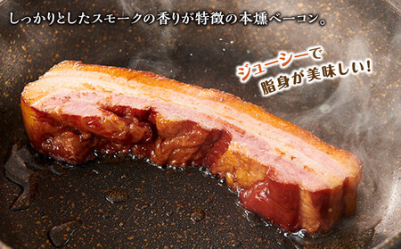 へんじんもっこ生サラミ入り厳選9種セット