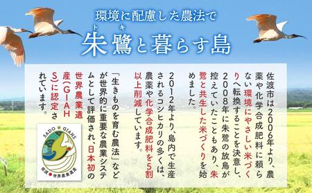 【定期便】無洗米佐渡産コシヒカリ（5kg×12回）