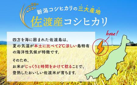 【6ヶ月連続お届け】新潟米物語佐渡産コシヒカリ（10kg（5kg×2））