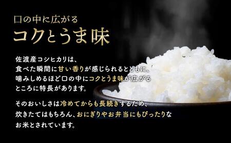 【6ヶ月連続お届け】新潟米物語佐渡産コシヒカリ（10kg（5kg×2））