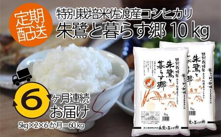 【6ヶ月連続お届け】佐渡産コシヒカリ・朱鷺と暮らす郷10kg（5kg×2）