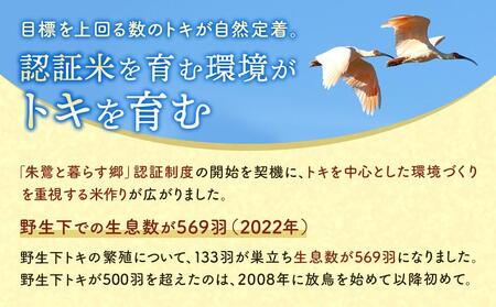 【6ヶ月連続お届け】佐渡産コシヒカリ・朱鷺と暮らす郷10kg（5kg×2）