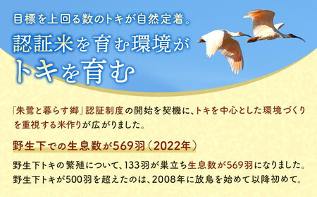 【12ヶ月連続お届け】佐渡産コシヒカリ 朱鷺と暮らす郷（10kg（5kg×2））