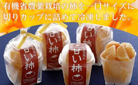 甘い柿　5パック