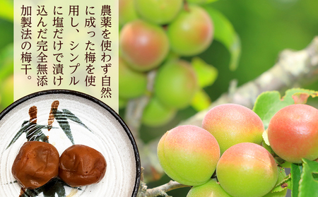 昔ながらの塩っぱい梅干　5パック