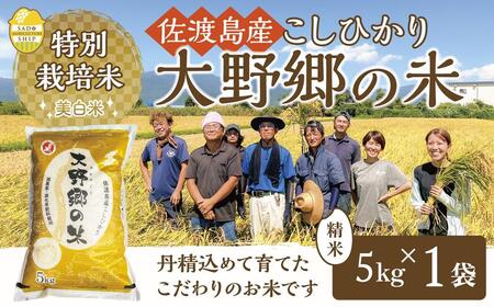 佐渡島産 特別栽培米こしひかり「大野郷の米」精米5kg×12回 定期お届け