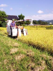 高島農場の農薬不使用ササニシキ30kg玄米