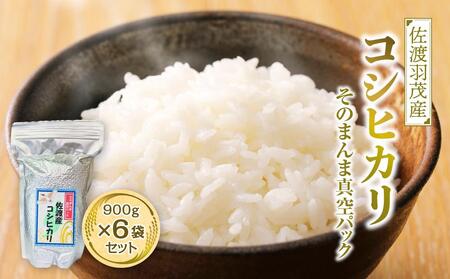 令和５年度産】佐渡羽茂産コシヒカリ そのまんま真空パック 900g×6袋