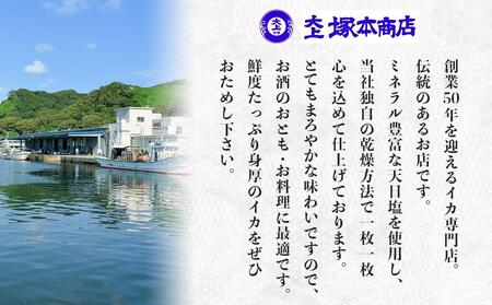 佐渡島いか専門店 いかづくしセット2 | 新潟県佐渡市 | ふるさと納税