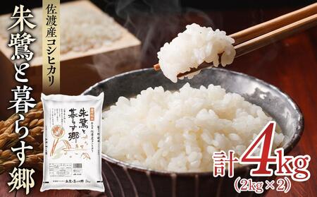 米 朱鷺と暮らす郷 佐渡産 コシヒカリ ( 2kg×2 ) 【令和6年産】