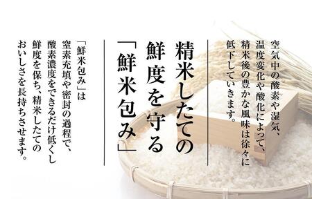 【令和6年産新米予約　頒布会】雪温精法　佐渡産こしひかり4kg×12回