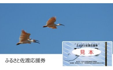 ふるさと佐渡応援券 壱