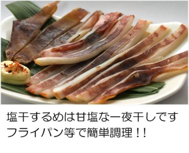 佐渡ヶ島いか専門店 いかづくしセットA