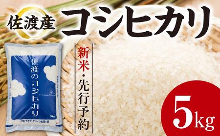 新米・先行予約】佐渡産コシヒカリ 5kg、 コシヒカリ無洗米2合 | 新潟