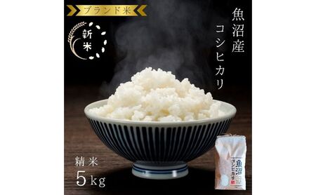 令和7年産 ブランド米 魚沼産コシヒカリ 精米 5kg 米 コメ こめ お米 おこめ 白米 こしひかり 新潟県産 人気 お取り寄せ