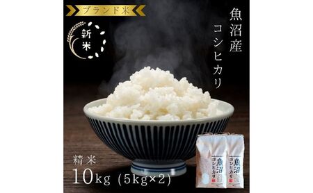 令和7年産 ブランド米 魚沼産コシヒカリ 精米 10kg（5kg×2袋） 米 コメ こめ お米 おこめ 白米 こしひかり 新潟県産 人気 お取り寄せ