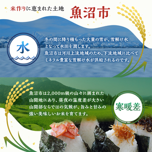 【定期便：雪国逸品    無洗米5kg×3ヶ月】越後魚沼郷    魚沼産コシヒカリ