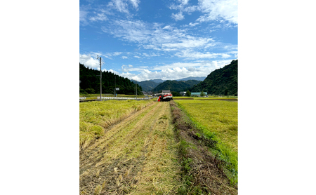 【令和7年産】魚沼産コシヒカリ(精米)10kg