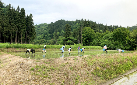 【令和7年産】魚沼産コシヒカリ(精米)5kg