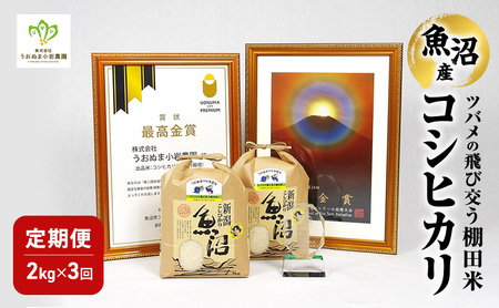 精米 ツバメの飛び交う棚田米 2kg×1袋 3ヵ月連続お届け　米 こめ お米 コメ こしひかり コシヒカリ 精米 新潟県 魚沼市 魚沼