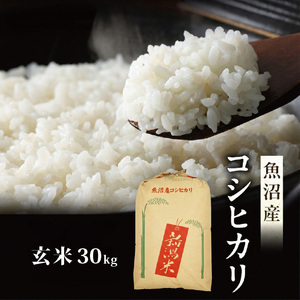 令和7年産 真砂屋厳選 魚沼産コシヒカリ（玄米）30kg お米 コメ こしひかり 新潟県 魚沼市 魚沼