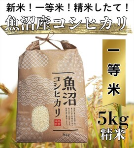 【令和７年度産】魚沼産コシヒカリ 精米 5kg 一等米 100％単一原料米 お米 コメ こしひかり 新潟県 魚沼市 魚沼