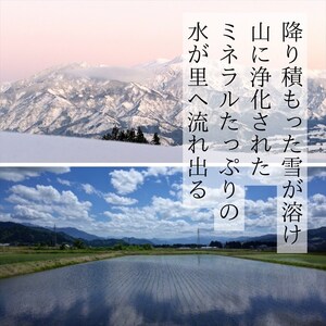 【令和７年度産】魚沼産コシヒカリ 精米 5kg 一等米 100％単一原料米 お米 コメ こしひかり 新潟県 魚沼市 魚沼