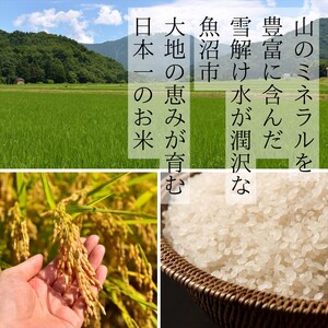 【令和７年度産】魚沼産コシヒカリ 精米 5kg 一等米 100％単一原料米 お米 コメ こしひかり 新潟県 魚沼市 魚沼