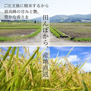 【令和７年度産】魚沼産コシヒカリ 精米 5kg 一等米 100％単一原料米 お米 コメ こしひかり 新潟県 魚沼市 魚沼