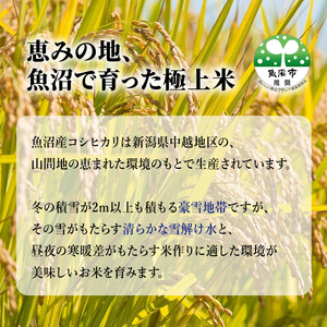 令和6年産 特別栽培米 お米アドバイザー厳選 魚沼産 コシヒカリ 精米 10kg ( 5kg × 2袋 )（ 米 こしひかり 特別栽培 お米 魚沼産コシヒカリ こめ コメ 新潟 魚沼 魚沼産こしひかり おこめ 白米 ）