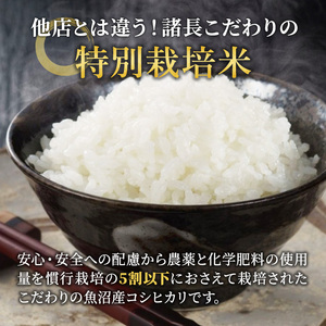 令和6年産 特別栽培米 お米アドバイザー厳選 魚沼産 コシヒカリ 精米 10kg ( 5kg × 2袋 )（ 米 こしひかり 特別栽培 お米 魚沼産コシヒカリ こめ コメ 新潟 魚沼 魚沼産こしひかり おこめ 白米 ）