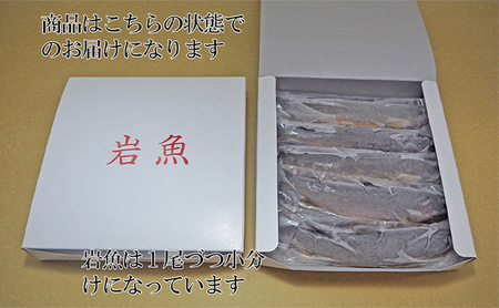 魚沼の岩魚（イワナ）冷凍10尾入り 魚貝類 川魚 