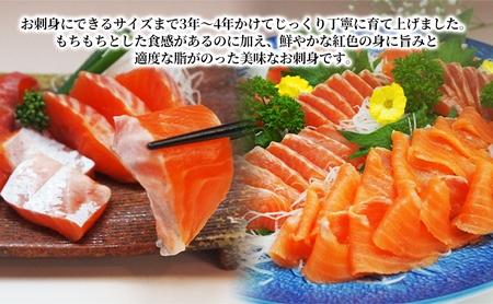 魚沼美雪ます刺身用フィレー 魚貝類 鱒 