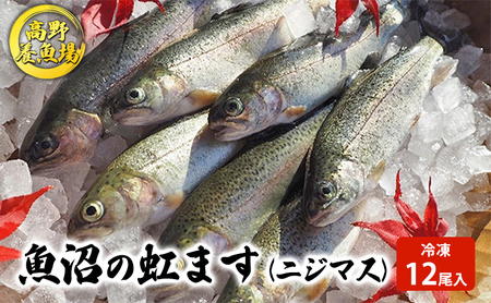 魚沼の虹ます （ニジマス） 冷凍12尾入 （ 虹ます にじます ニジマス 虹鱒 マス ます 鱒 魚 川魚 小分け 海鮮 魚介 魚介類 魚沼 ） 魚貝類 