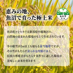 魚沼産 コシヒカリ 5kg 6ヶ月 連続お届け ( 米 定期便 お米 こめ コメ