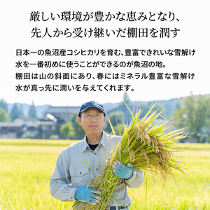 米農家自慢の 特別栽培米 魚沼産 コシヒカリ（精米）5kg×1袋 隔⽉ 全6回お届け